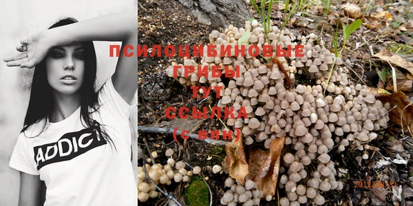 Альфа ПВП Алзамай