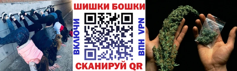 Конопля гибрид  Петровск 
